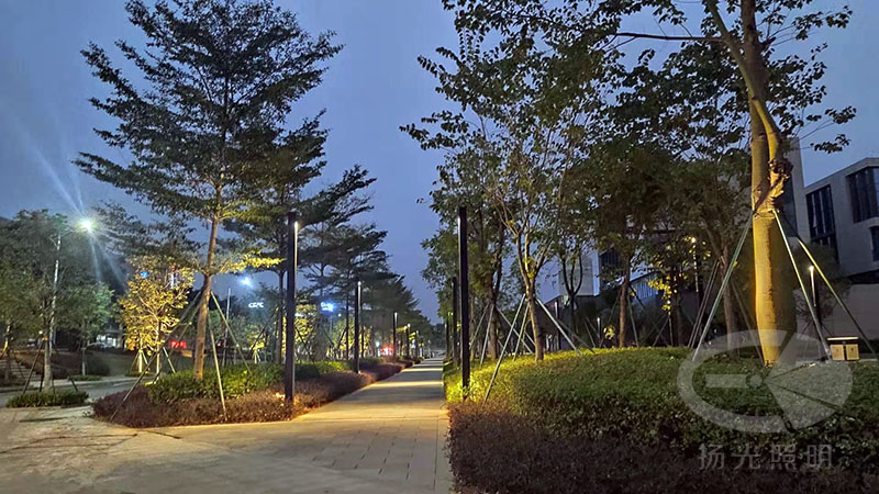 東莞中集智穀（gǔ）產業園景觀照明工程夜景圖（tú）