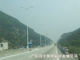 東（dōng）莞厚（hòu）大路道路（lù）照（zhào）明工程
