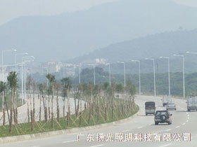 東莞環湖路道路照明工（gōng）程