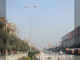 東莞（wǎn）家具（jù）大道景觀照明工程
