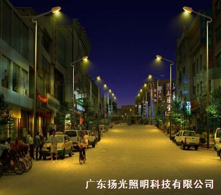 東莞振華路路燈工（gōng）程
